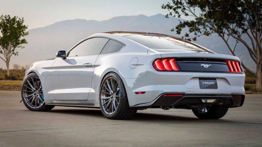 Mustang EV back